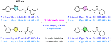 Graphical abstract: Heterocyclic core modifications in trypanosomacidal 2-[(phenylheteroaryl)ethyl]ureas