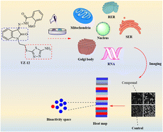 Graphical abstract: Identification of 5-amino-1,3,4-thiadiazole appended isatins as bioactive small molecules with polypharmacological activities