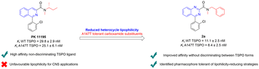 Graphical abstract: PK 11195 derivatives: exploring the influence of amide and heterocyclic substitution on A147T TSPO discrimination