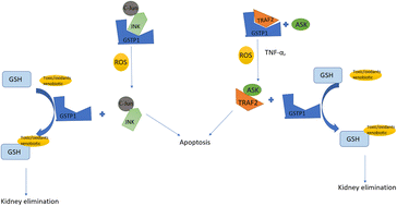 Graphical abstract: Isozyme-specific inhibition of GSTP1-1: a crucial element in cancer-targeting drugs