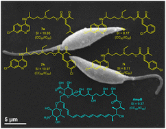 Graphical abstract: Synthesis and in vitro antiprotozoal evaluation of novel Knoevenagel hydroxychloroquine derivatives