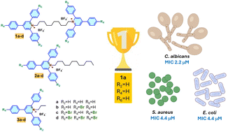 Graphical abstract: Minimalistic bis-triarylpyridinium cations: effective antimicrobials against bacterial and fungal pathogens