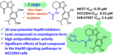 Graphical abstract: Novel N-(4,5,6,7-tetrahydrobenzisoxazol-4-yl)amides as HSP90 inhibitors: design, synthesis and biological evaluation