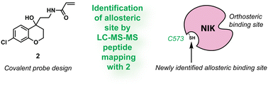 Graphical abstract: Identification of a novel allosteric binding site on the catalytic domain of NF-κB inducing kinase (NIK)