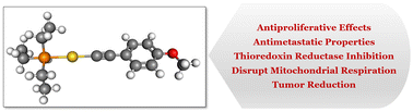 Graphical abstract: Antiproliferative effects, mechanism of action and tumor reduction studies in a lung cancer xenograft mouse model of an organometallic gold(i) alkynyl complex