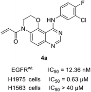 Graphical abstract: Design, synthesis and biological evaluation of 2H-[1,4]oxazino-[2,3-f]quinazolin derivatives as potential EGFR inhibitors for non-small cell lung cancer