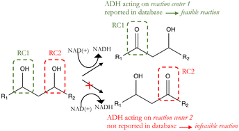 Graphical abstract: DORA-XGB: an improved enzymatic reaction feasibility classifier trained using a novel synthetic data approach
