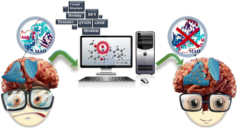 Graphical abstract: The pivotal role of the carbonyl group in methoxy chalcones: comprehensive analyses of the structure and computational insights into binding affinity towards monoamine oxidase enzymes