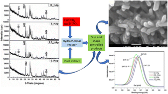 Graphical abstract: Synthesis of rod-shaped nano-hydroxyapatites using Aloe vera plant extract and their characterization