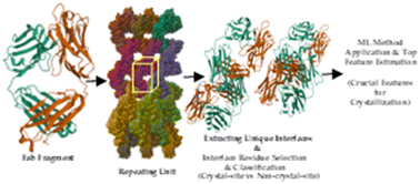 Graphical abstract: Investigating structural biophysical features for antigen-binding fragment crystallization via machine learning