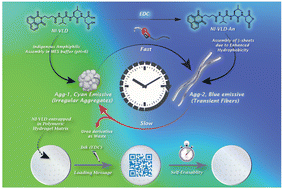 Graphical abstract: Chemically fueled dynamic switching between assembly-encoded emissions