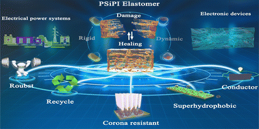 Graphical abstract: High toughness, healable, self-cleaning polydimethylsiloxane elastomers with “rigid-while-flexible” mutual network structure