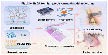 Graphical abstract: Flexible silk-fibroin-based microelectrode arrays for high-resolution neural recording