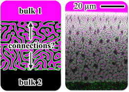 Graphical abstract: Dual access to the fluid networks of colloid-stabilized bicontinuous emulsions through uninterrupted connections