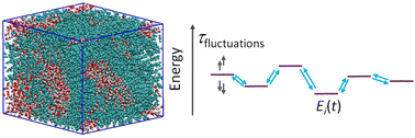 Graphical abstract: The dynamic nature of electrostatic disorder in organic mixed ionic and electronic conductors