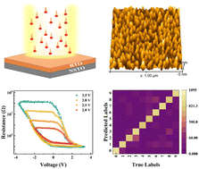 Graphical abstract: Synaptic memristors based on BaTiO3 thin films irradiated by swift heavy ions for neuromorphic computing