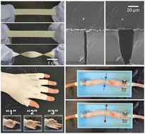 Graphical abstract: Encapsulated stretchable amphibious strain sensors