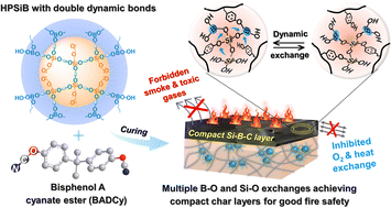 Graphical abstract: Si, B-containing dynamic covalent bonds enable excellent flame retardancy and reduced fire hazards for cyanate ester resin