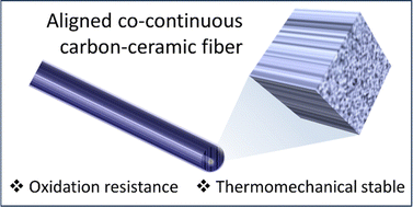 Graphical abstract: Synergistic enhancement of thermomechanical properties and oxidation resistance in aligned Co-continuous carbon–ceramic hybrid fibers