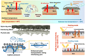 Graphical abstract: Knitting-stitching bifacial metafabrics with switchable thermal and moisture transmissibility for multimodal dynamic personal thermoregulation