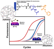 Graphical abstract: Thermo-responsive 3D nanostructures for enhanced performance in food-poisoning bacterial analysis