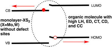 Graphical abstract: Photoinduced charge separation at heterojunctions between two-dimensional layered materials and small organic molecules