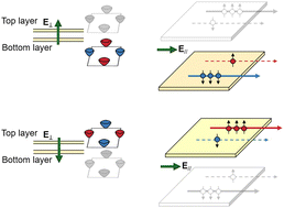 Graphical abstract: All-electrical layer-spintronics in altermagnetic bilayers
