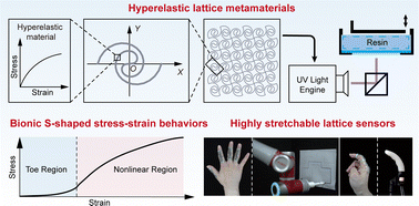 Graphical abstract: Modeling and design of 3D printed hyperelastic lattice metamaterials with bionic S-shaped stress–strain behaviors