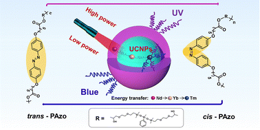 Graphical abstract: A near-infrared light-driven composite for smart and robust adhesion based on dynamic photochemistry