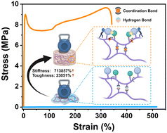 Graphical abstract: Molecular engineering of backbone rotation in an energy-dissipative hydrogel for combining ultra-high stiffness and toughness