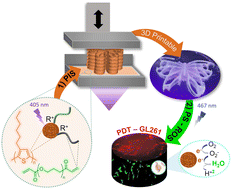 Graphical abstract: Poly(3-hexylthiophene) nanoparticles as visible-light photoinitiators and photosensitizers in 3D printable acrylic hydrogels for photodynamic therapies