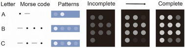 Graphical abstract: Long-chain crosslinker-induced patterning on an elastic polymer film for robust and reversible information encryption/decryption
