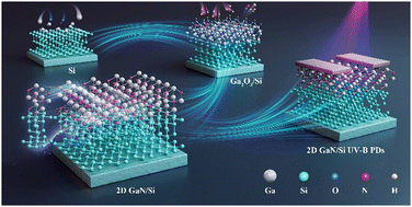 Graphical abstract: Two-dimensional GaN/Si heterojunctions towards high-performance UV-B photodetectors