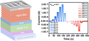 Graphical abstract: A self-powered HgTe quantum dots/PBDB-T:Y6 bipolar broadband photodetector for logic gates