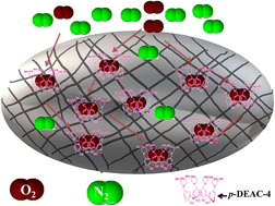 Graphical abstract: The p-diethanolaminomethylcalix[4]arene-incorporated polyacrylonitrile-based facilitated-transport-nanofiber mat for O2/N2 separation