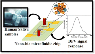 Graphical abstract: An electrochemical immunosensor based on a nano-ceria integrated microfluidic chip for interleukin-8 biomarker detection