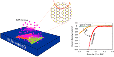 Graphical abstract: Selective activation of MoS2 grain boundaries for enhanced electrochemical activity
