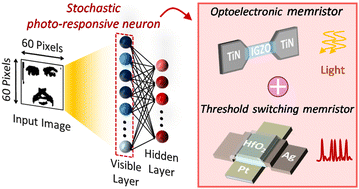 Graphical abstract: A stochastic photo-responsive memristive neuron for an in-sensor visual system based on a restricted Boltzmann machine