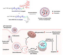 Graphical abstract: pH-Triggered delivery of pirarubicin–gemcitabine duo using polymeric nanoparticles for synergistic breast cancer therapy