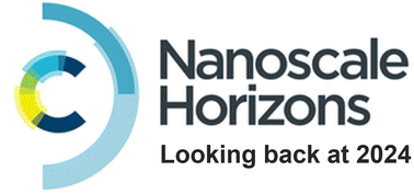 Graphical abstract: Reflecting on Nanoscale Horizons in 2024