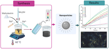 Graphical abstract: Synthesis and characterization of magnetite coated by maltodextrin for application in magnetic hyperthermia