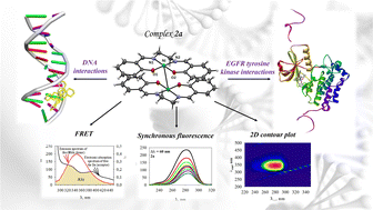 Graphical abstract: A comparative study on the synthesis and crystal structures of Ni(ii) complexes bearing tetradentate N2O2 donor Schiff bases: biomolecular interactions, cytotoxicities and molecular docking