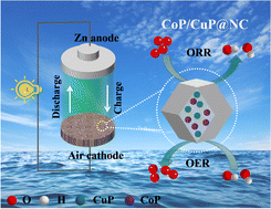 Graphical abstract: MOF-derived CoP/CuP hybrids as bifunctional electrocatalysts for zinc–air batteries