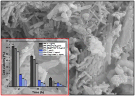 Graphical abstract: Potentiality of zinc phosphate@hydroxyapatite/β-cyclodextrin composites for carrying cisplatin: loading, release and cytotoxicity