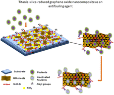 Graphical abstract: Antifouling behavior of titania–silica-reduced graphene oxide nanocomposites as coatings for marine applications