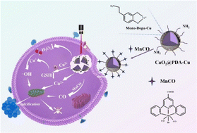 Graphical abstract: A multifunctional nanoplatform combining self-supplied H2O2 production with CO delivery for multimodal anti-tumor therapy