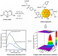 Graphical abstract: Synthesis of folic acid, histidine, and serine-functionalized and boron and phosphorus-doped graphene quantum dots with excellent yellow luminescence behavior in aqueous/solid states and their use for the fluorescence detection of Fe2+ in urine