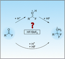 Graphical abstract: HF-addition to haloacetyl fluorides in superacidic media