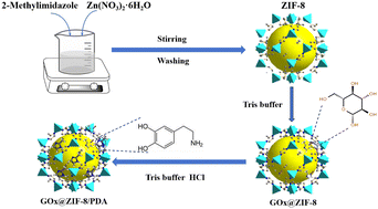 Graphical abstract: Glucose oxidase intercalation into polydopamine and ZIF-8 as a highly efficient and stable bio-catalyst for H2O2 production