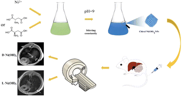 Graphical abstract: Chiral ultrasmall nickel hydroxide nanoparticles enable enantioselective magnetic resonance imaging of hepatocellular carcinoma and lung metastases